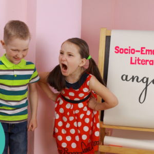 Introduction To Social & Emotional Literacy